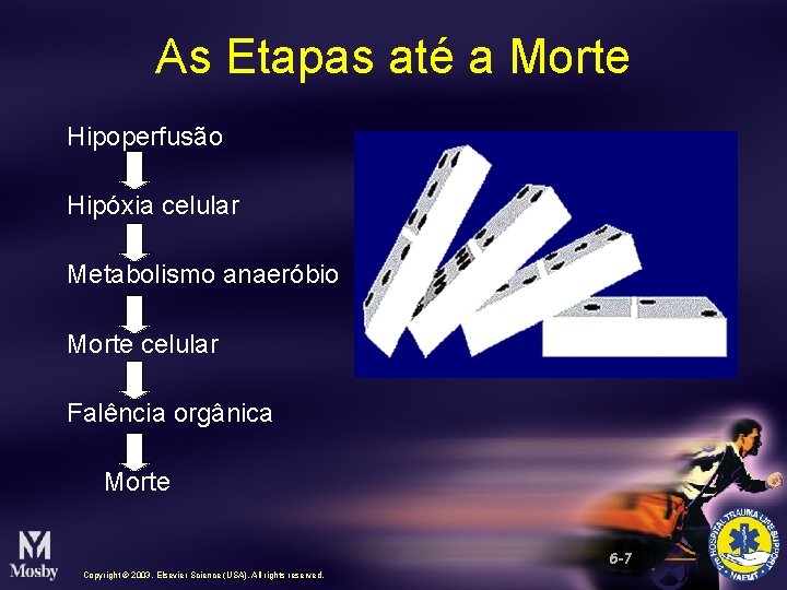 As Etapas até a Morte Hipoperfusão Hipóxia celular Metabolismo anaeróbio Morte celular Falência orgânica