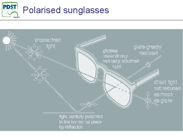 Polarised sunglasses 