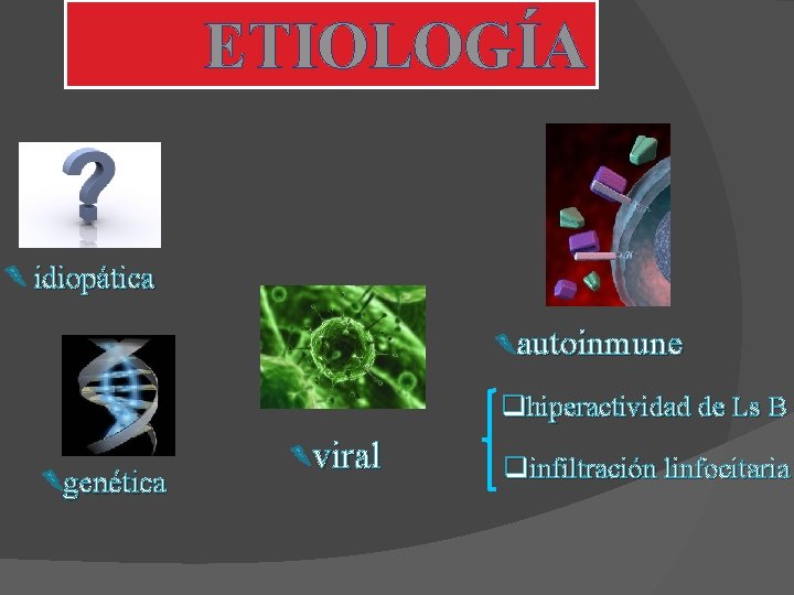 ETIOLOGÍA idiopática autoinmune qhiperactividad de Ls B genética viral qinfiltración linfocitaria 
