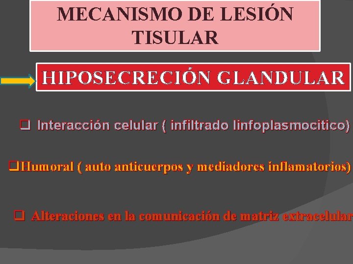MECANISMO DE LESIÓN TISULAR HIPOSECRECIÓN GLANDULAR q Interacción celular ( infiltrado linfoplasmocitico) q. Humoral