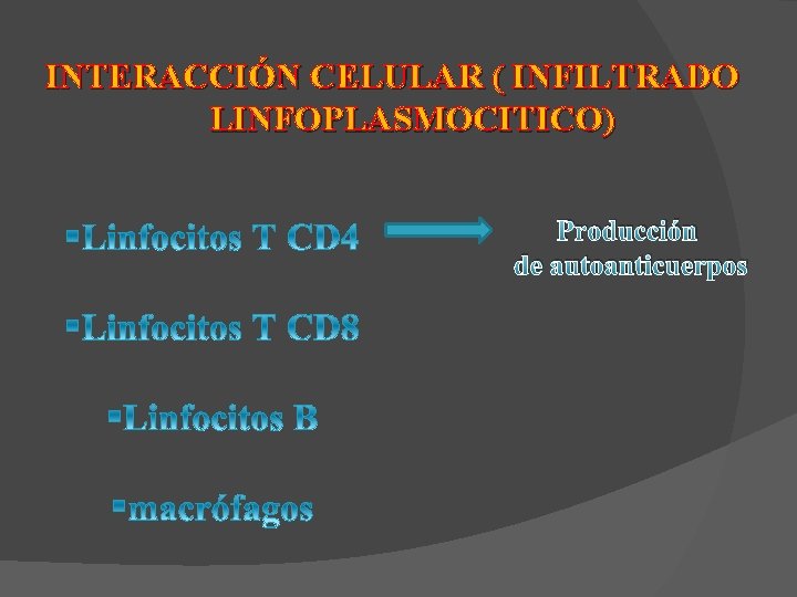 INTERACCIÓN CELULAR ( INFILTRADO LINFOPLASMOCITICO) Producción de autoanticuerpos 