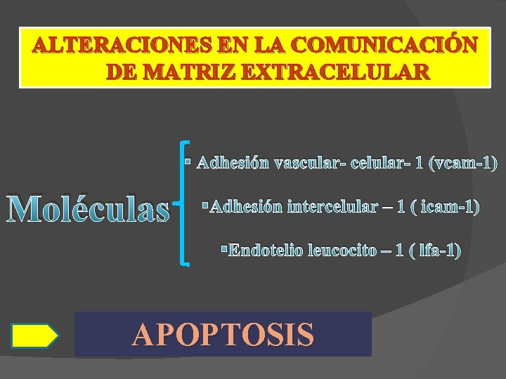 ALTERACIONES EN LA COMUNICACIÓN DE MATRIZ EXTRACELULAR § Adhesión vascular- celular- 1 (vcam-1) Moléculas
