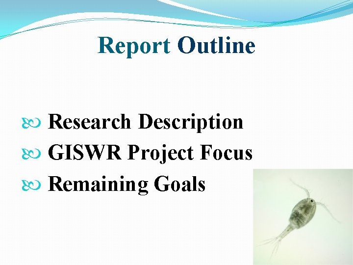 Report Outline Research Description GISWR Project Focus Remaining Goals 