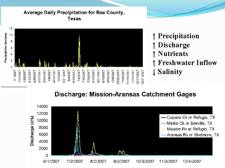 ↑ Precipitation ↑ Discharge ↑ Nutrients ↑ Freshwater Inflow ↓ Salinity 