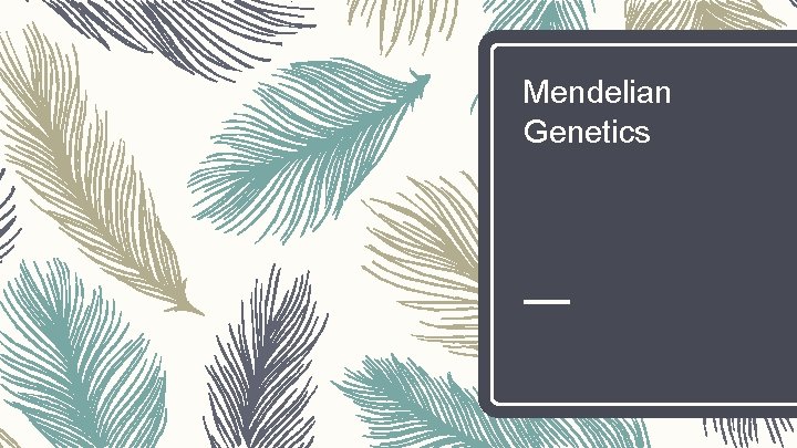 Mendelian Genetics 