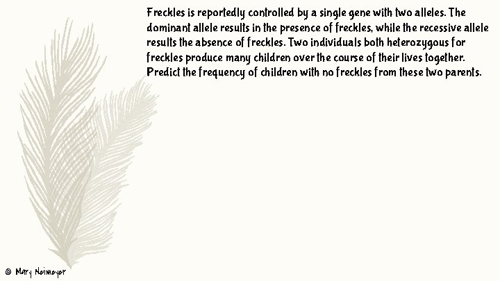 Freckles is reportedly controlled by a single gene with two alleles. The dominant allele