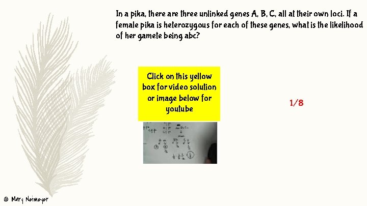 In a pika, there are three unlinked genes A, B, C, all at their