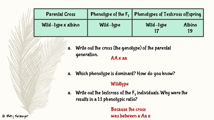 Parental Cross Wild-type x albino Phenotype of the F 1 Phenotypes of Testcross offspring