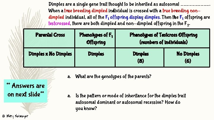 Dimples are a single gene trait thought to be inherited as autosomal _____. When