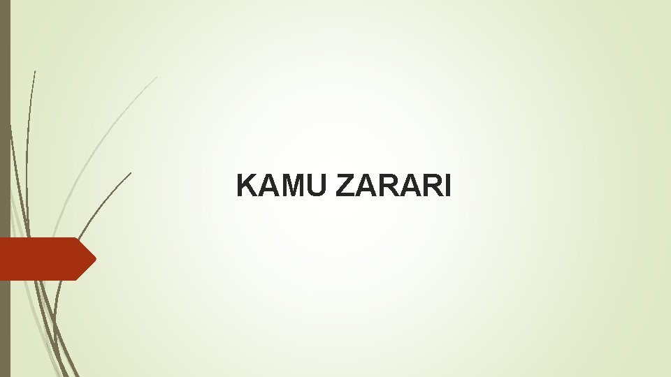 KAMU ZARARI 