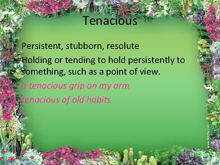 Tenacious • Persistent, stubborn, resolute • Holding or tending to hold persistently to something,
