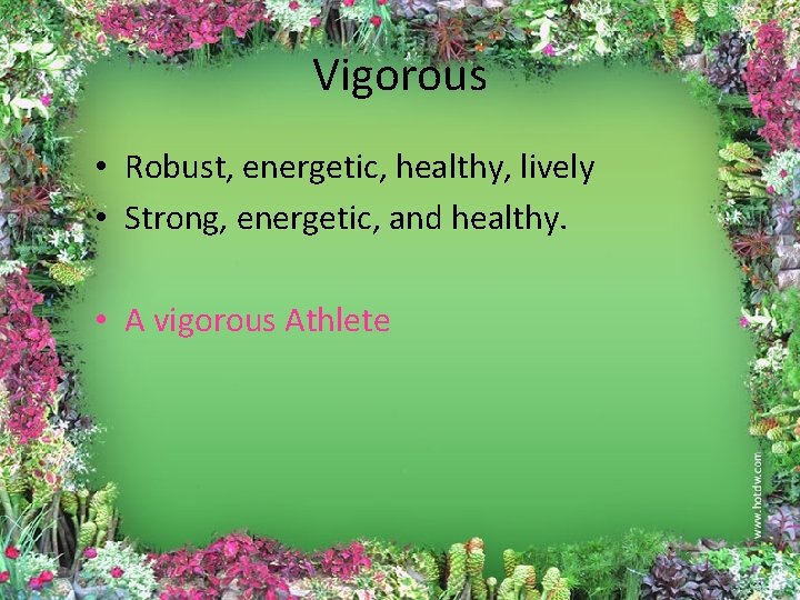 Vigorous • Robust, energetic, healthy, lively • Strong, energetic, and healthy. • A vigorous