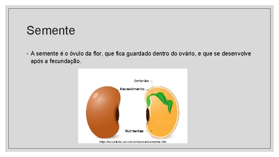 Semente ◦ A semente é o óvulo da flor, que fica guardado dentro do Semente ◦ A semente é o óvulo da flor, que fica guardado dentro do