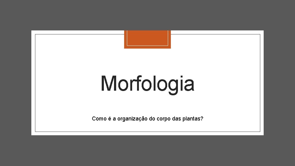 Morfologia Como é a organização do corpo das plantas? Morfologia Como é a organização do corpo das plantas?