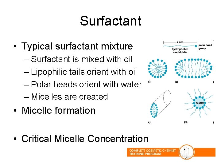 Surfactant • Typical surfactant mixture – Surfactant is mixed with oil – Lipophilic tails Surfactant • Typical surfactant mixture – Surfactant is mixed with oil – Lipophilic tails