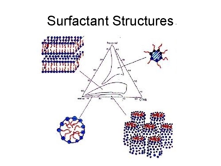Surfactant Structures Surfactant Structures