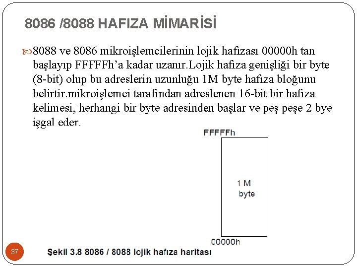 8086 /8088 HAFIZA MİMARİSİ 8088 ve 8086 mikroişlemcilerinin lojik hafızası 00000 h tan başlayıp