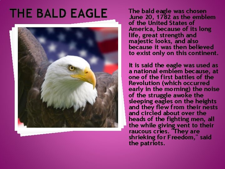 THE BALD EAGLE The bald eagle was chosen June 20, 1782 as the emblem