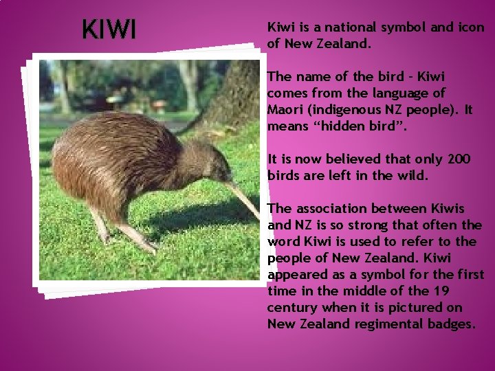 KIWI Kiwi is a national symbol and icon of New Zealand. The name of