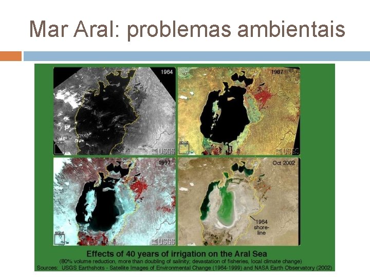 Mar Aral: problemas ambientais 