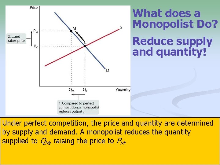 What does a Monopolist Do? Reduce supply and quantity! Under perfect competition, the price