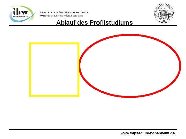 Ablauf des Profilstudiums www. wipaed. uni-hohenheim. de 