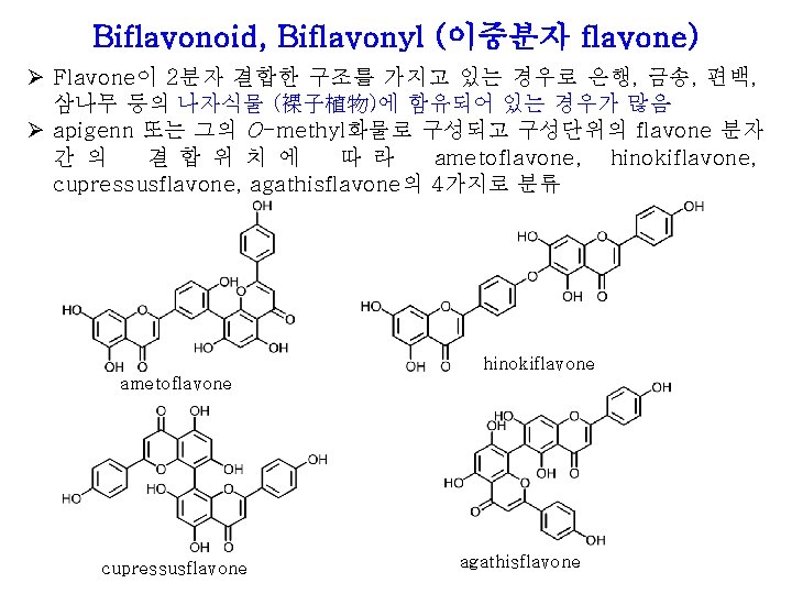 Biflavonoid, Biflavonyl (이중분자 flavone) Ø Flavone이 2분자 결합한 구조를 가지고 있는 경우로 은행, 금송,