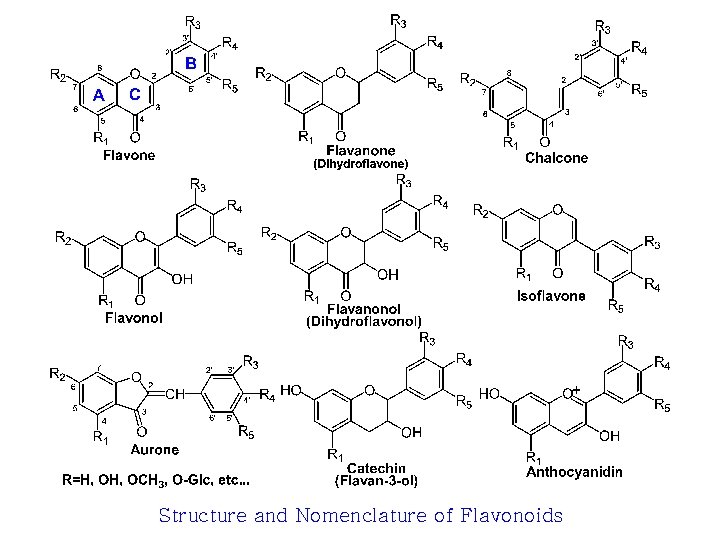 Structure and Nomenclature of Flavonoids 