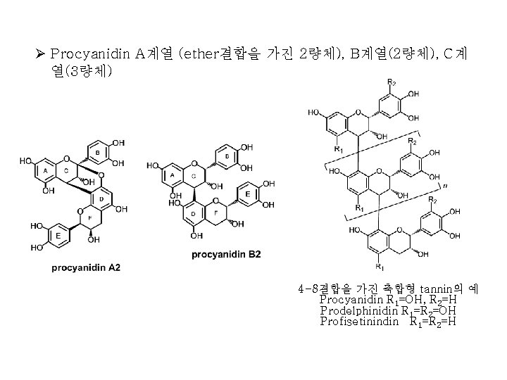 Ø Procyanidin A계열 (ether결합을 가진 2량체), B계열(2량체), C계 열(3량체) 4 -8결합을 가진 축합형 tannin의