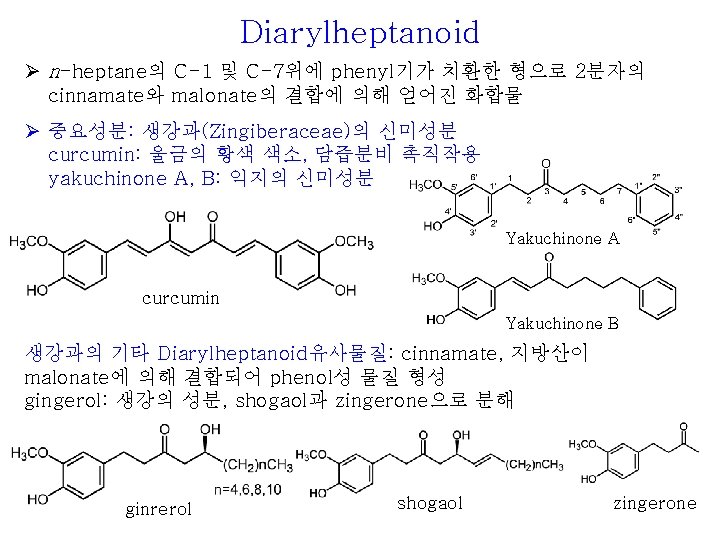 Diarylheptanoid Ø n-heptane의 C-1 및 C-7위에 phenyl기가 치환한 형으로 2분자의 cinnamate와 malonate의 결합에 의해