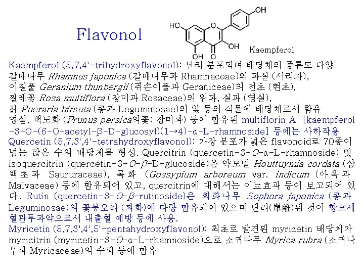 Flavonol Kaempferol (5, 7, 4'-trihydroxyflavonol): 널리 분포되며 배당체의 종류도 다양 갈매나무 Rhamnus japonica (갈매나무과