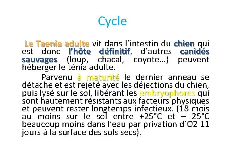 Cycle Le Taenia adulte vit dans l’intestin du chien qui adulte chien est donc