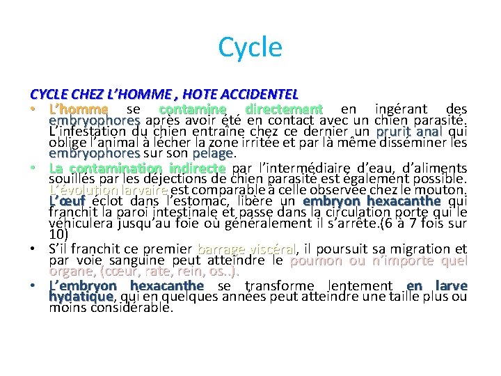 Cycle CYCLE CHEZ L’HOMME , HOTE ACCIDENTEL • L’homme se contamine directement en ingérant