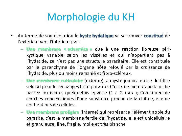Morphologie du KH • Au terme de son évolution le kyste hydatique va se