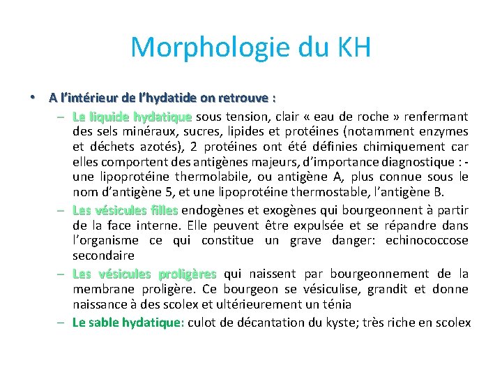 Morphologie du KH • A l’intérieur de l’hydatide on retrouve : – Le liquide