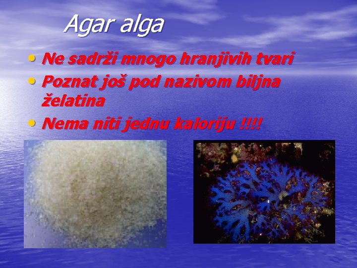 Agar alga • Ne sadrži mnogo hranjivih tvari • Poznat još pod nazivom biljna