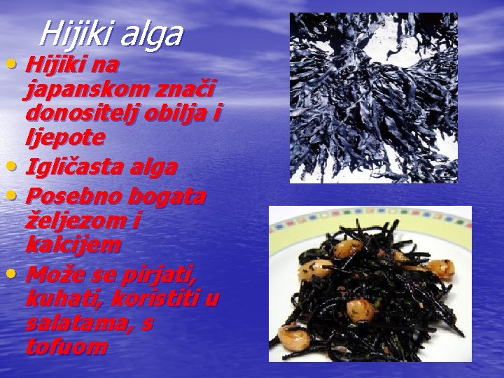 Hijiki alga • Hijiki na japanskom znači donositelj obilja i ljepote • Igličasta alga