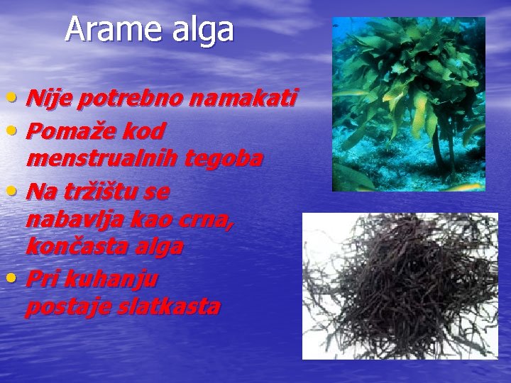 Arame alga • Nije potrebno namakati • Pomaže kod menstrualnih tegoba • Na tržištu