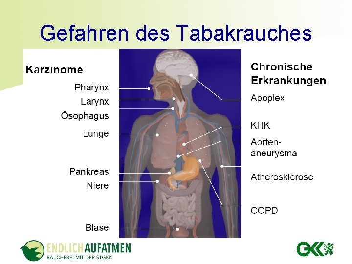 Gefahren des Tabakrauches 