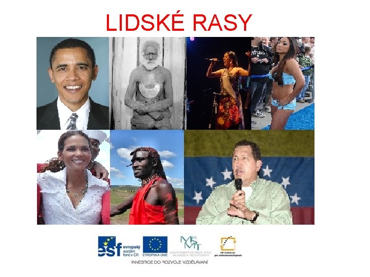 LIDSKÉ RASY 