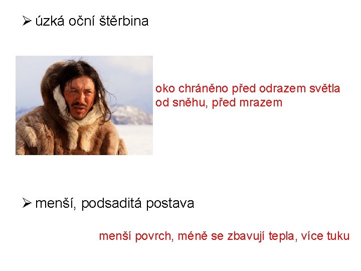 Ø úzká oční štěrbina oko chráněno před odrazem světla od sněhu, před mrazem Ø