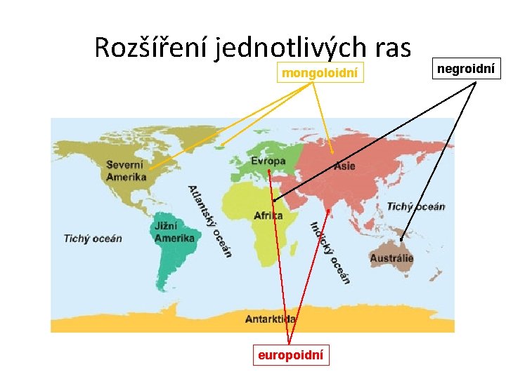 Rozšíření jednotlivých ras mongoloidní europoidní negroidní 