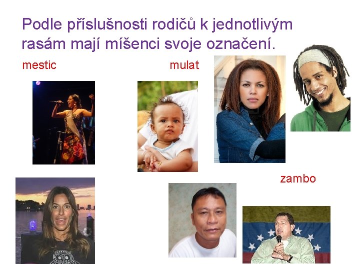 Podle příslušnosti rodičů k jednotlivým rasám mají míšenci svoje označení. mestic mulat zambo 