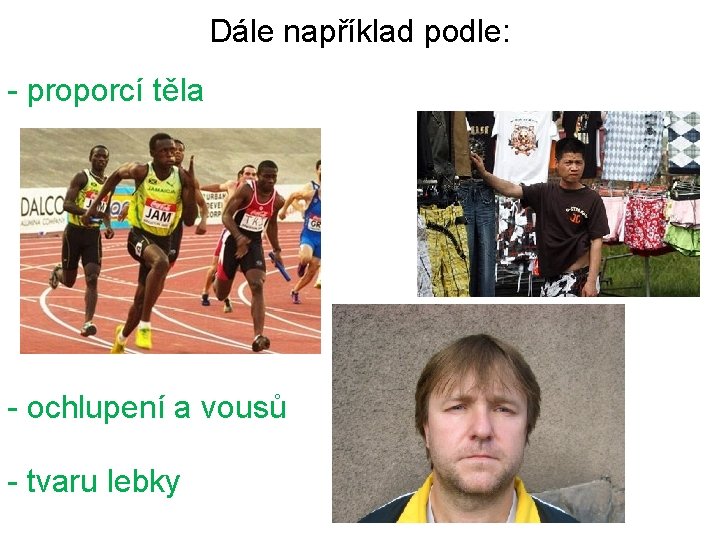 Dále například podle: - proporcí těla - ochlupení a vousů - tvaru lebky 