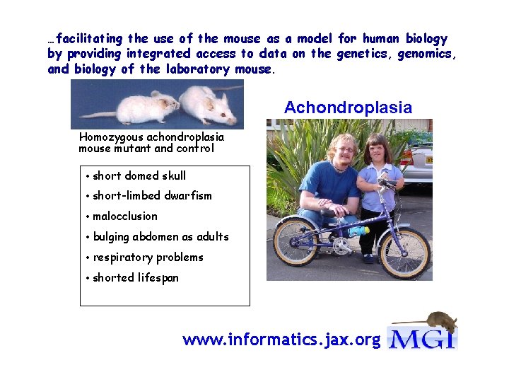 Phenotype Mouse Example Ontologies and vocabularies supporting data integration emphasis on