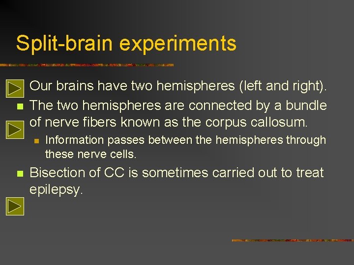 Split-brain experiments n n Our brains have two hemispheres (left and right). The two Split-brain experiments n n Our brains have two hemispheres (left and right). The two