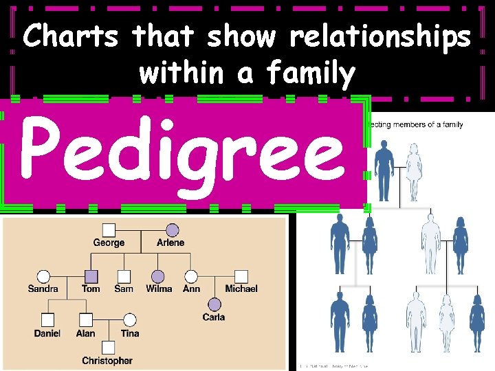 Charts that show relationships within a family Pedigree 47 