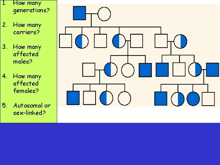 1. How many generations? 2. How many carriers? 3. How many affected males? 4.