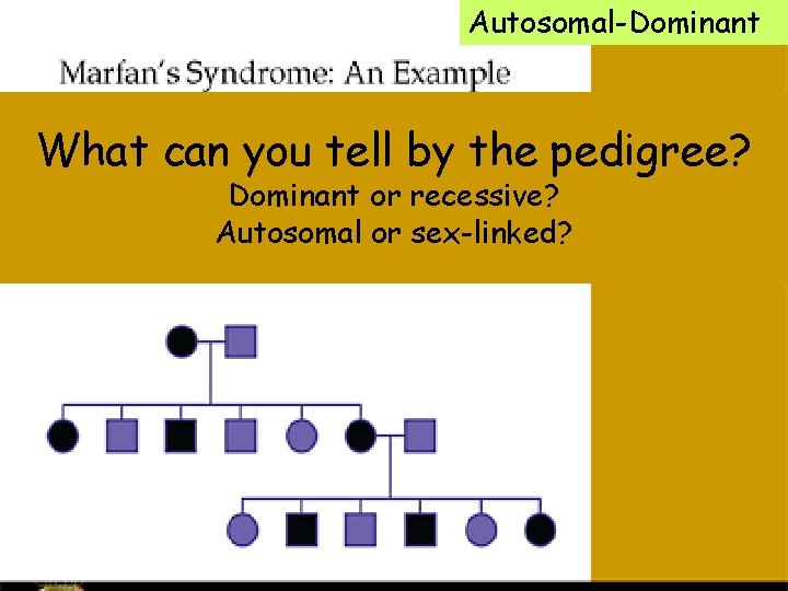 Autosomal-Dominant What can you tell by the pedigree? Dominant or recessive? Autosomal or sex-linked?