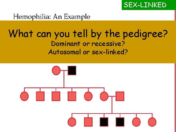 SEX-LINKED What can you tell by the pedigree? Dominant or recessive? Autosomal or sex-linked?